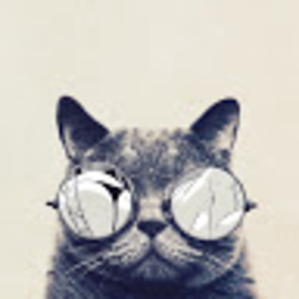 Meet your Posher, Pris